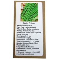 6 degrees east Herloom Herb Seeds - Garlic Chives - Allium schenprasum